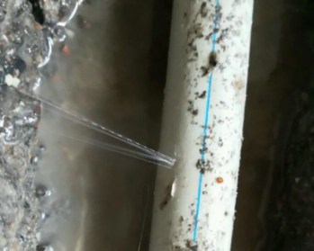 密山卫生间测漏水多少钱