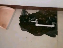 密山卫生间测漏水多少钱
